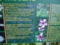 /album/nucleo%20de%20educa%c3%a7%c3%a3o%20ambiental%20da%20laurissilva/dsc00332-jpg/